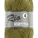 027 Olive