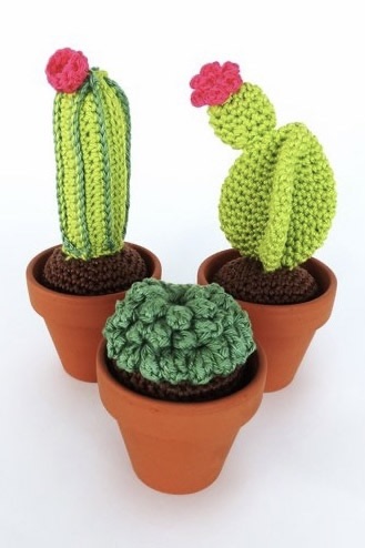 Cactussen