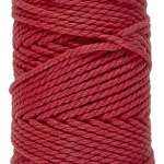 043 Cardinal