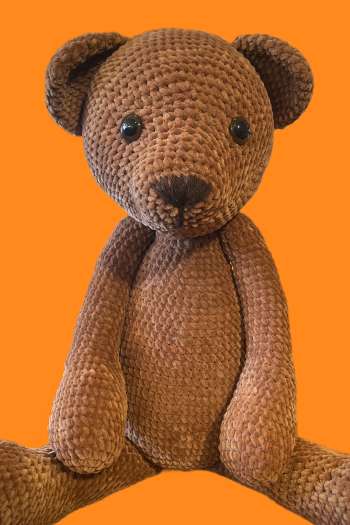 Beer Boris groot + boek