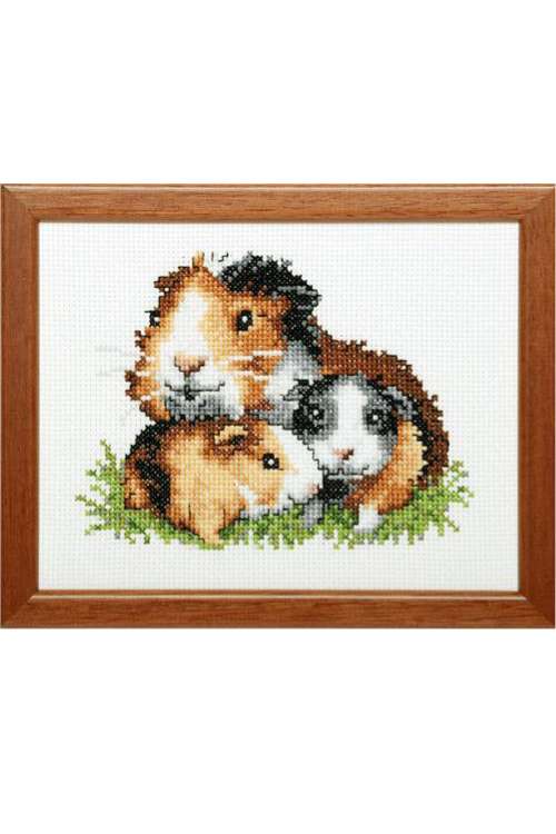 Borduurpakket Cavia