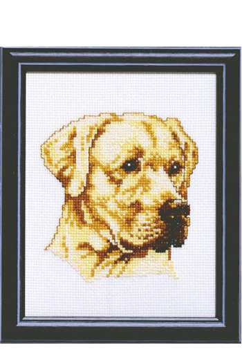 Borduurpakket Labrador