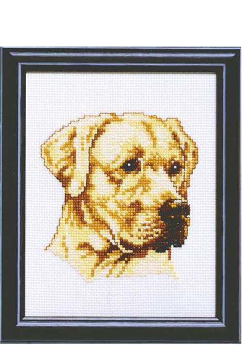 Borduurpakket Labrador
