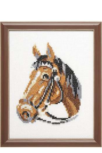 Borduurpakket Paard