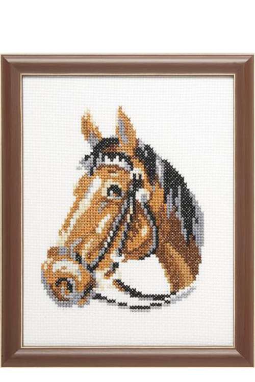 Borduurpakket Paard