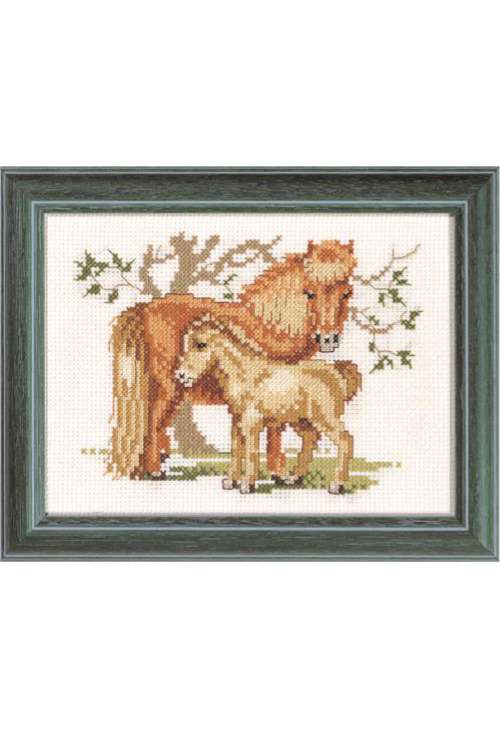 Borduurpakket Pony's