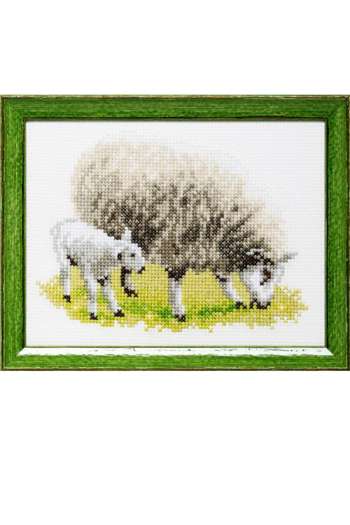 Borduurpakket Schaap & Lam