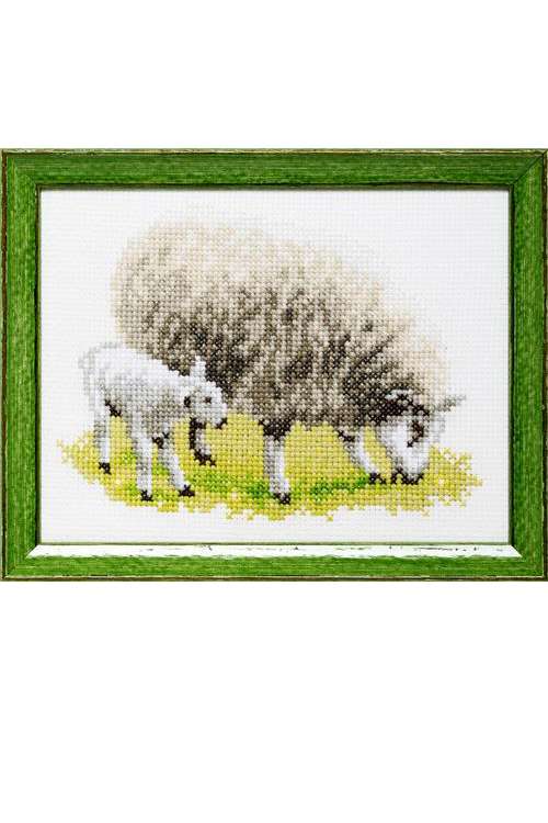 Borduurpakket Schaap & Lam
