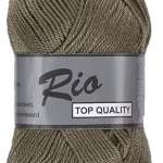 027 Olive