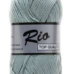 851 Blue Yucca