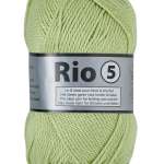 045 Lime (glans)
