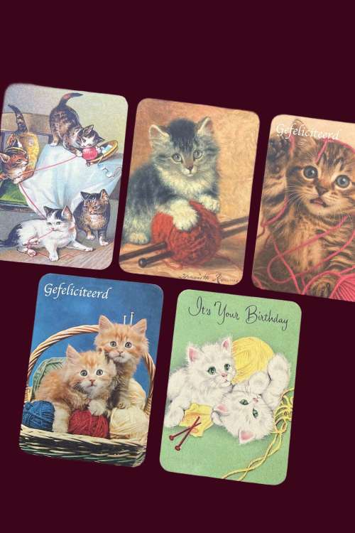 Vintage Wenskaarten Poesjes set 5 stk