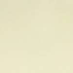 049 Cream