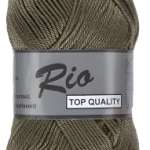 027 Olive