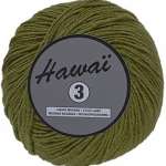 027 Olive